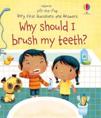 Why Should I Brush My Teeth? Lift-the-flap Very First Questions and Answers