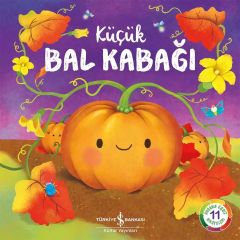 Küçük Bal Kabağı – Doğanın Eşsiz Hikayeleri 11