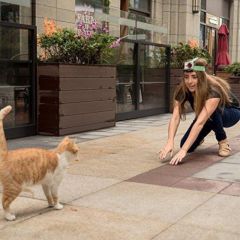 Xiaomi Kamera Kafa Bandı