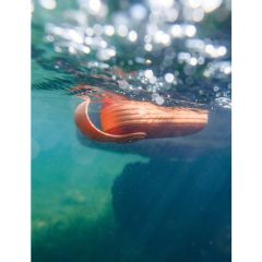 Anker SoundCore Icon Suya Dayanıklı Bluetooth Hoparlör Turuncu