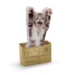 Mustard Cat in a Box Yapışkanlı Not Kağıdı