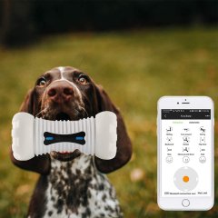 Fury Bone İnteraktif Akıllı Evcil Hayvan Oyuncağı