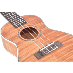 UKULELE 21'' CONCERT