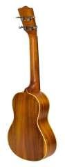 Valler UT57 AWN Tenor Ukulele