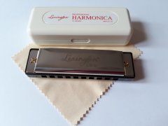 MIZIKA 10 DELİKLİ PROFESSIONAL HARMONICA