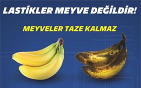 Lastikler Meyve Değildir.