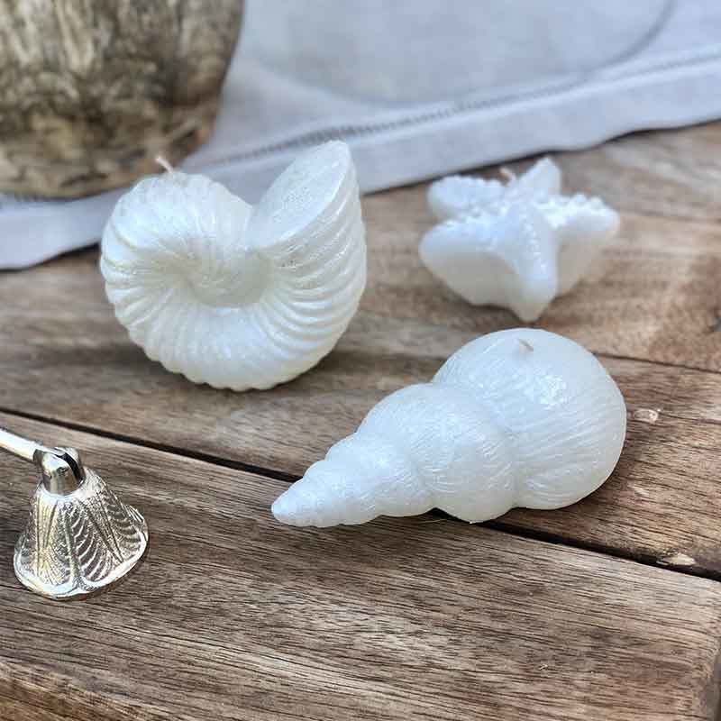 Seashell Sedefli 3'lü Mum