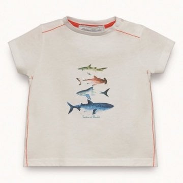 Erkek Çocuk Kısa Kollu T-Shirt