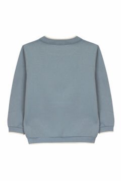 Erkek Çocuk Sweatshirt