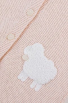 Kız Bebek Tulum -kuzu aplikli-