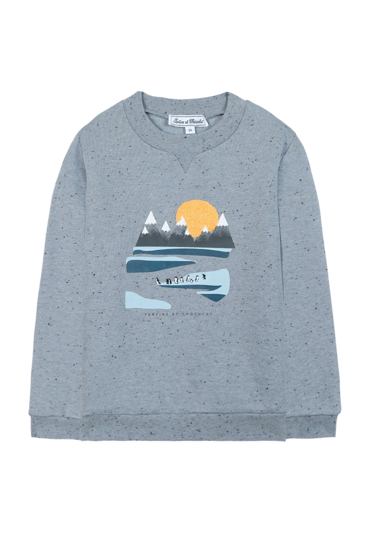 Erkek Çocuk Sweatshirt