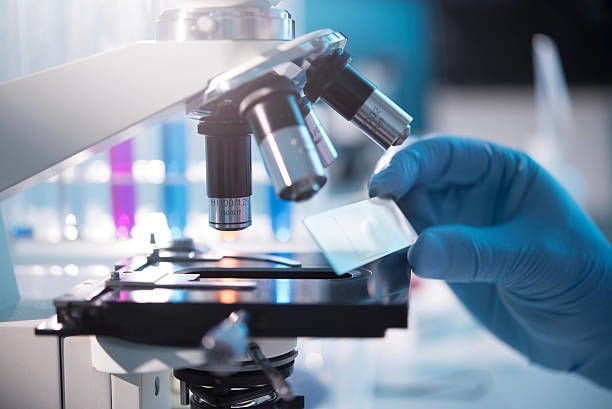 Essential Parts of the Microscope: What Are Slides and Coverslips? What Do They Do?