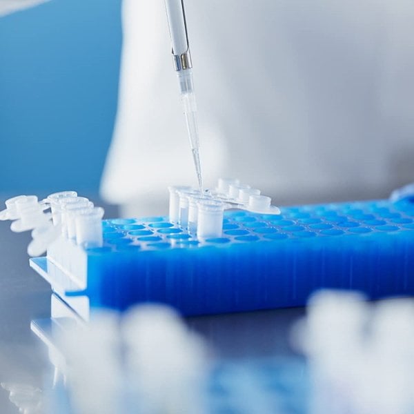 PCR Tüp Standı 0.2-0.5-1.5-2 ml İçin 60 Delikli Çift Taraflı - Eppendorf Tüp Standı