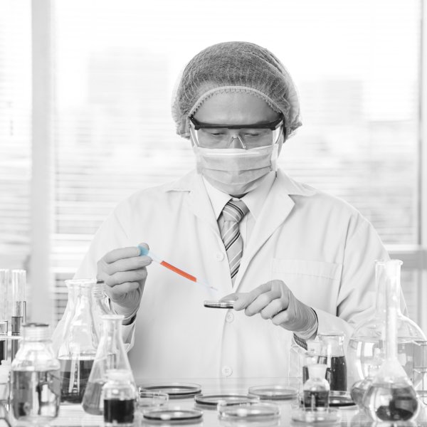 Borox Steril Pastör Pipeti - Plastik Damlalık 0.5-3ml - 2500 Adet Toptan - Tek Tek Poşetli