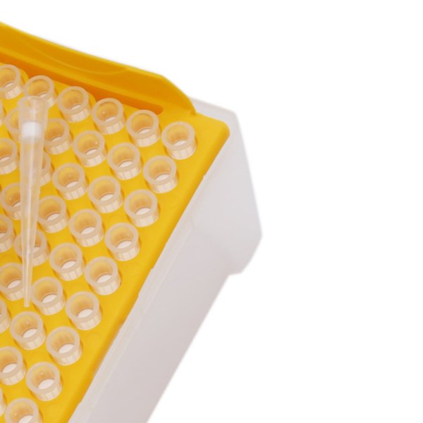 Borox Filtreli Pipet Ucu Steril 200µl - Uzun Şeffaf - 10Adet Toptan