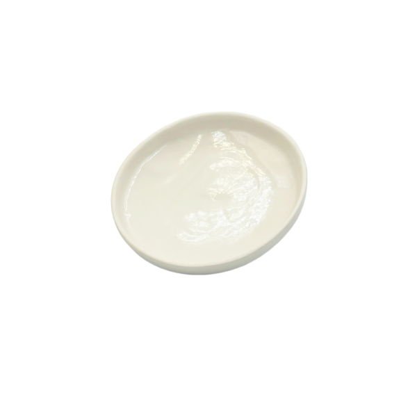 Borox Porselen Kroze Kapağı - 69mm - Porcelain Crucible Cover