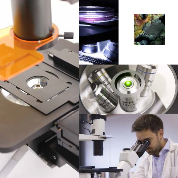 OPTIKA IM-3FL4 Floresan Inverted Ters Araştırma Mikroskobu - Tinoküler Mikroskop 400x