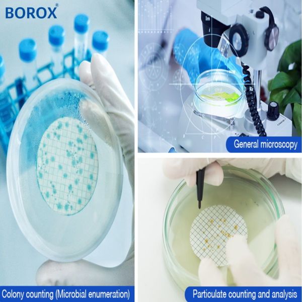 Borox Selüloz Asetat Membran Filtre Steril 0.45µm - 47mm - 100 Adet