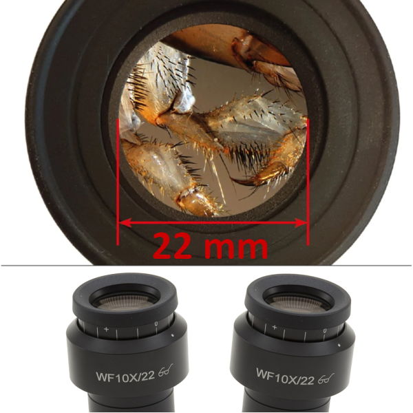 OPTIKA SZX-T+SZ-A1+SZ-STL1 Trinoküler Stereo Zoom Mikroskop - Eğitim Mikroskobu 45x