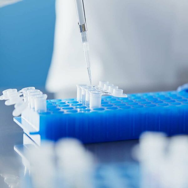 PCR Tüp Standı 0.2-0.5-1.5-2 ml İçin 60 Delikli Çift Taraflı -Eppendorf Tüp Standı - 10 Adet Toptan