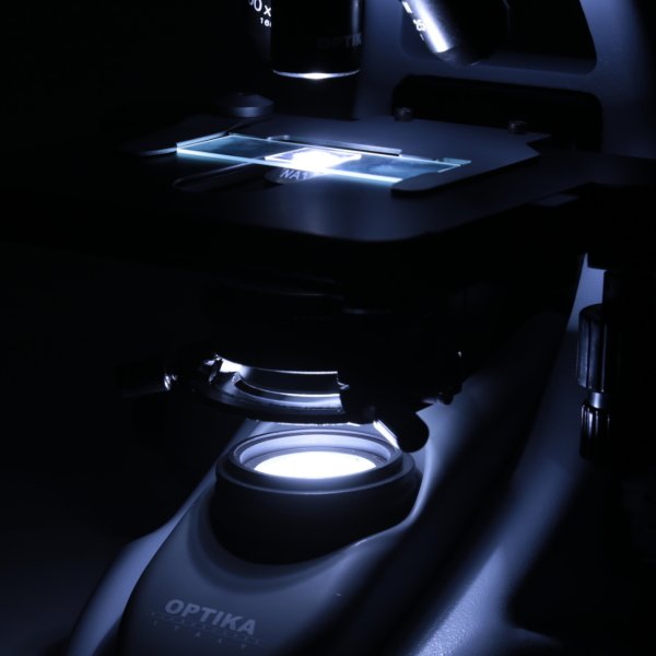 OPTIKA B-293LD1.50 Trinoküler Floresan Mikroskop IOS Sistem - Araştırma Mikroskobu 500x