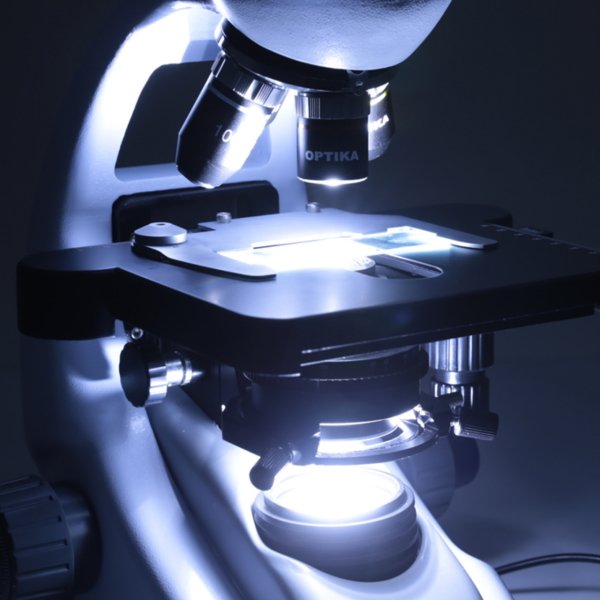 OPTIKA B-293LD1.50 Trinoküler Floresan Mikroskop IOS Sistem - Araştırma Mikroskobu 500x