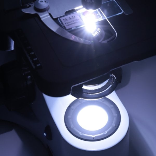 OPTIKA B-382PLi-ALC Binoküler Mikroskop - Araştırma Mikroskobu 1000x - Otomatik Işık Kontrollü