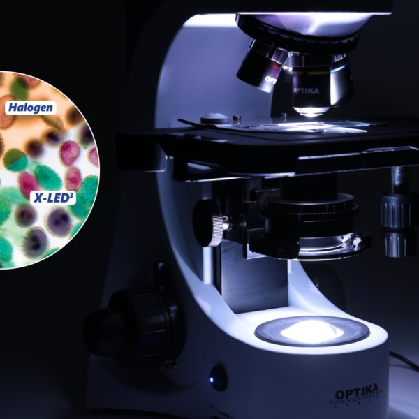 OPTIKA B-382PLi-ALC Binoküler Mikroskop - Araştırma Mikroskobu 1000x - Otomatik Işık Kontrollü