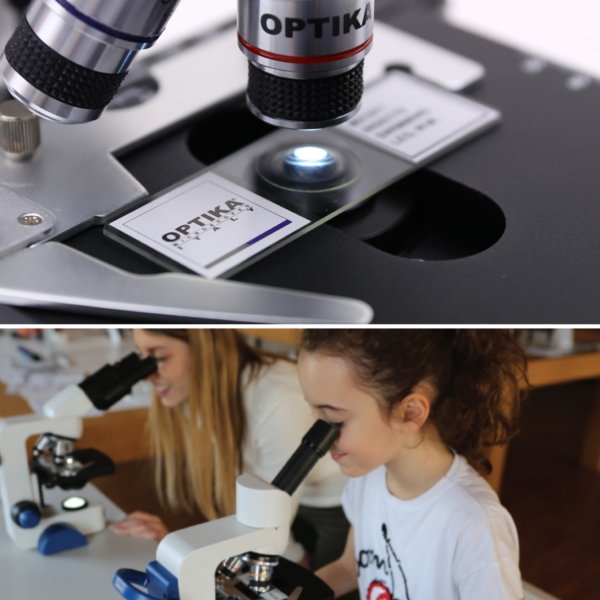 OPTIKA B-65 Monoküler Mikroskop - 1000x Mikroskop