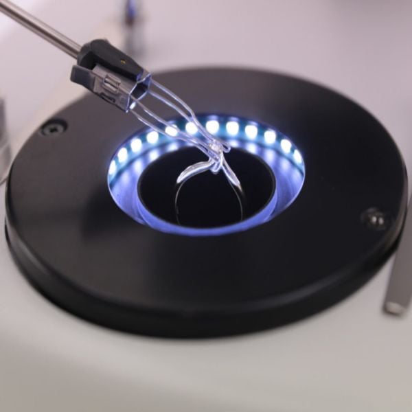 OPTIKA OPTIGEM-10 Binoküler Gemoloji Mikroskobu - Mücevher Analizi İçin Mikroskop
