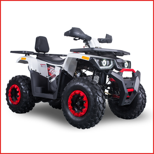 MX220 OFF-ROAD ATV plakasız