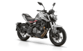 SRK 250 NAKED