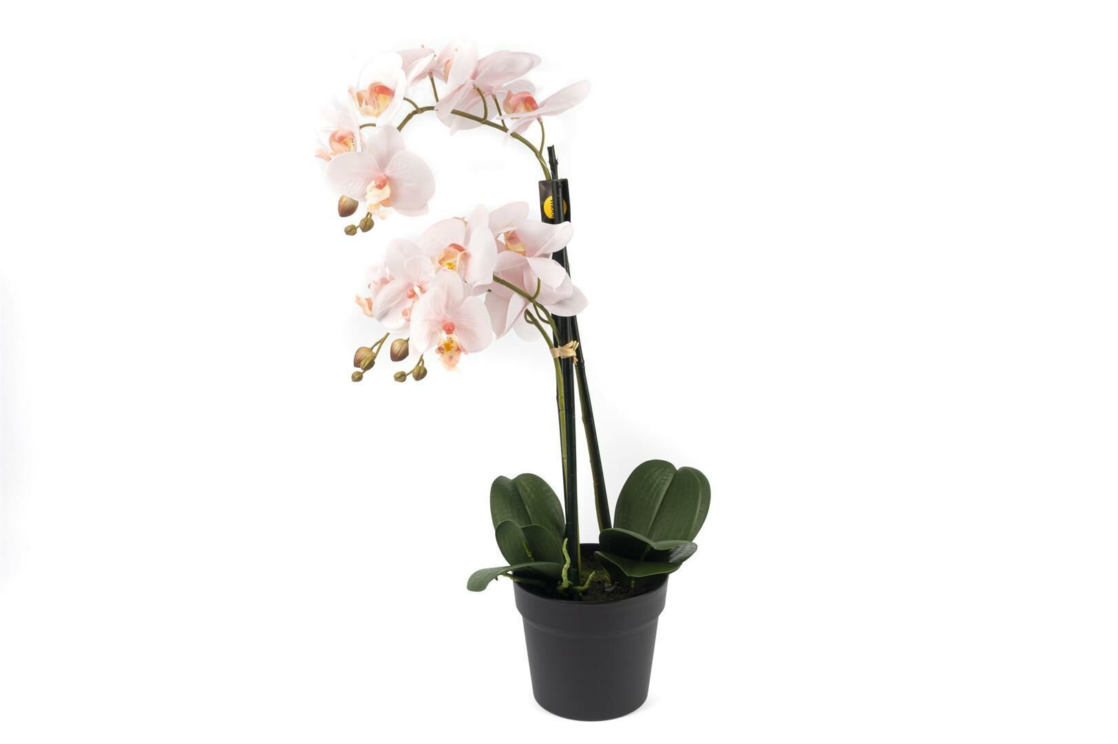 Açık Pembe 3lü Yapay Orkide 65cm