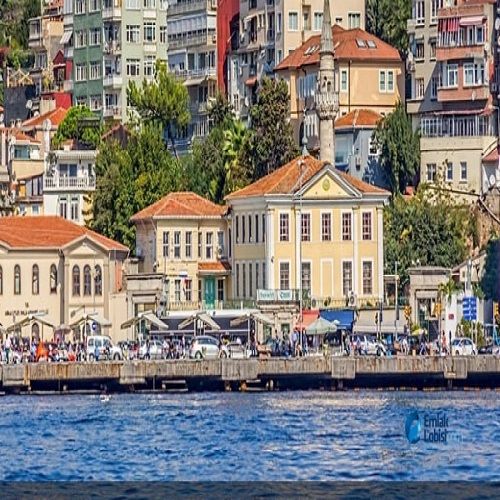 Beşiktaş İlçesi Dezenfekte Şirketi