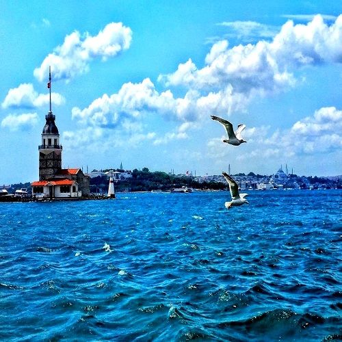 Üsküdar İlaçlama