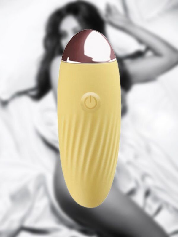 SECRETGAME Censan AppToyz Egg Akıllı Telefon Uyumlu Vibratör , yumurta  kadın, Smartphone Compatible Vibrator, egg vibrator, wearable vibrator,