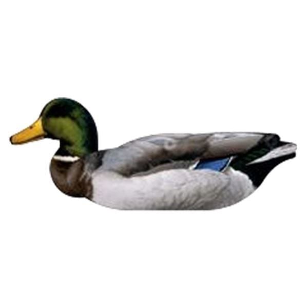 T. NRA FUD Mallard Ducks Ördek Mühre-(3 ERKEK-3 DİŞİ)