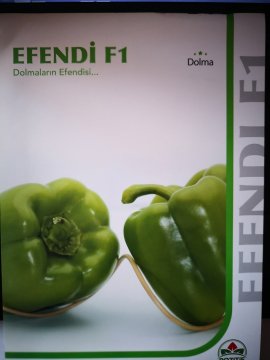 Efendi F1 Dolma Biber Fidesi