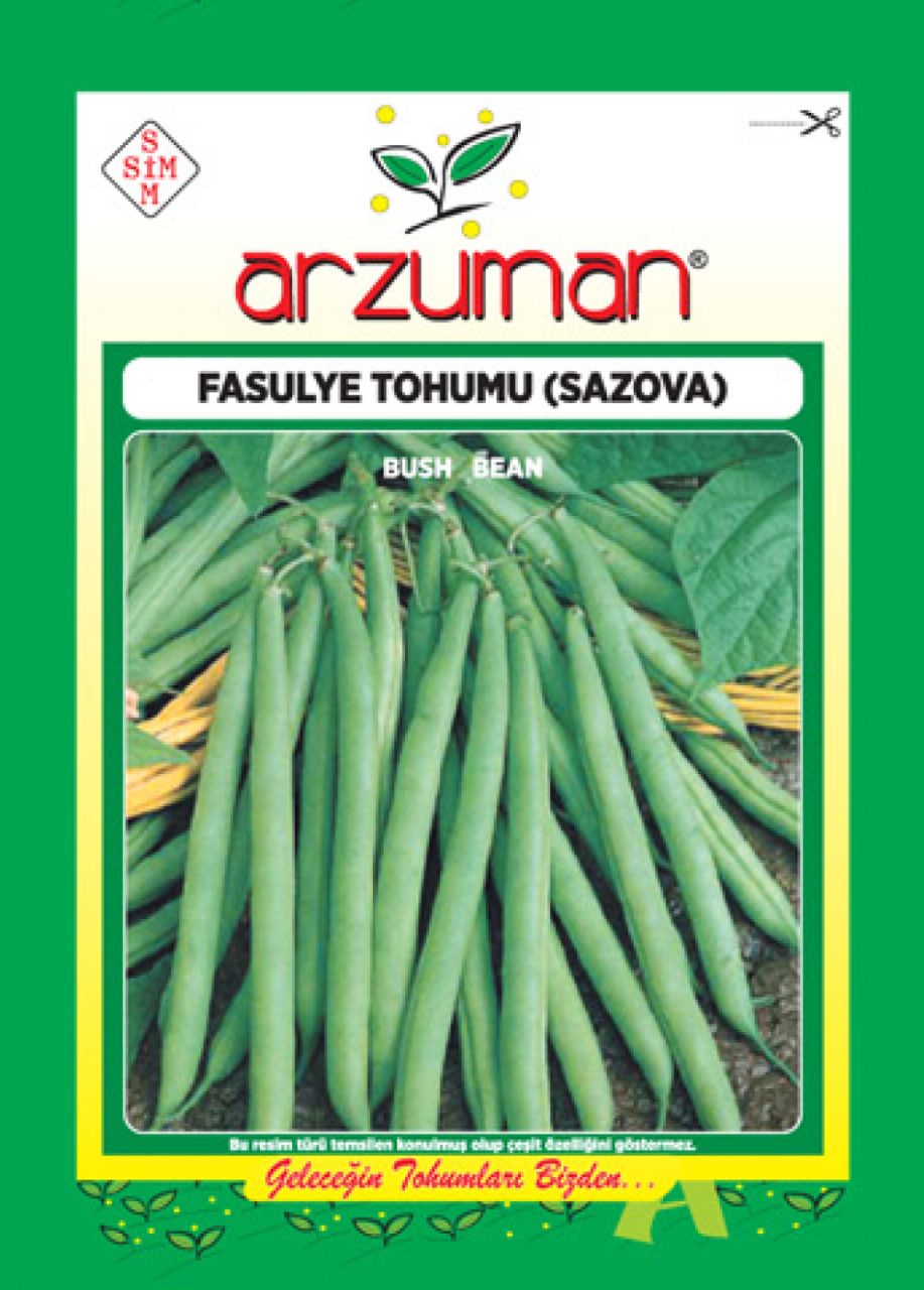 Sazova Fasulye Tohumu