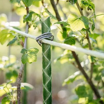 Bar-Plant Fide Fidan Bitki Destek Çubuğu 10 Adet
