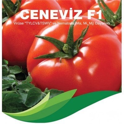 Ceneviz F1 Beef Domates Fidesi