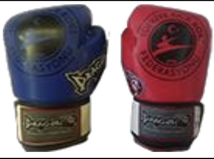 Tsunami Kick Boks Eldiveni - Mavi