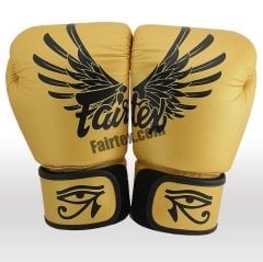 Fairtex 10 oz Boks Eldiveni