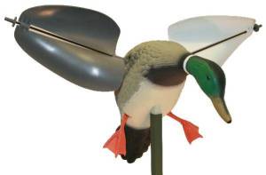 Mojo Wind Duck Rüzgarlı Ördek Mühresi