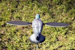 Mojo Pigeon Motorlu Güvercin Mühresi