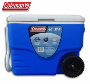 Coleman Cooler 40 QT Buzluk