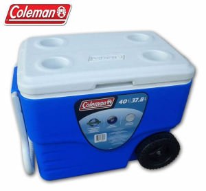 Coleman Cooler 40 QT Buzluk