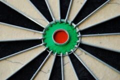 Winmau Pro SFB Dart Hedef Tahtası