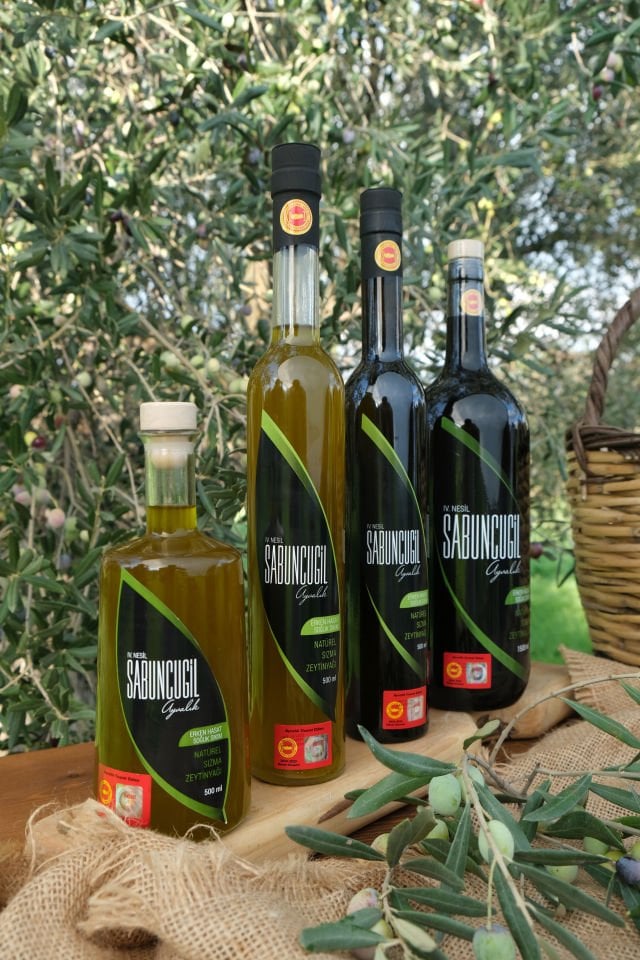 2025 - 2026 Ayvalık Erken Hasat Soğuk Sıkım Filtresiz Zeytinyağı 500 ml - Primula Hediyelik Şişe