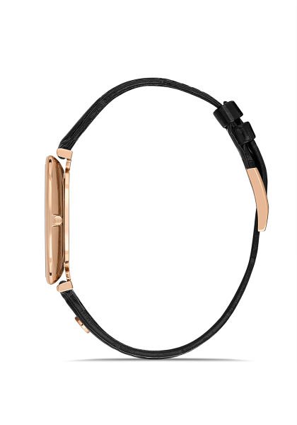 CL179R-04BR Erkek Kol Saati